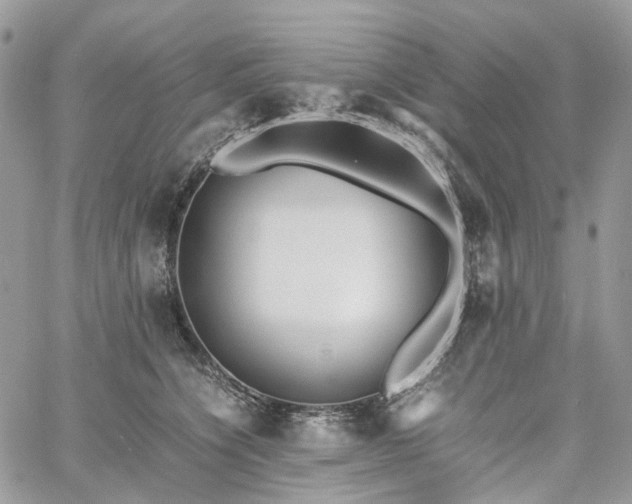 X0000060780564200511171246