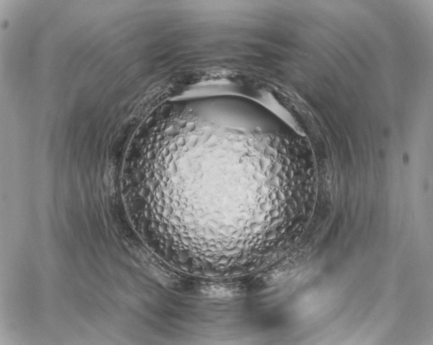 X0000060780565200511171246