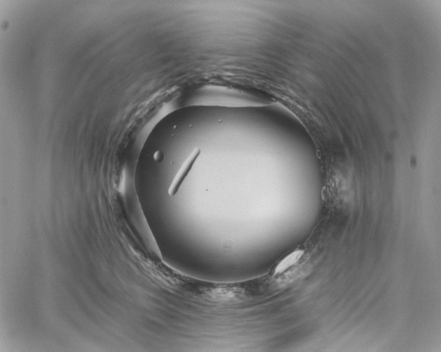 X0000060780566200511171246