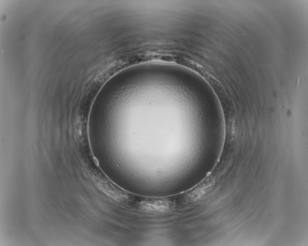 X0000060780567200511171246