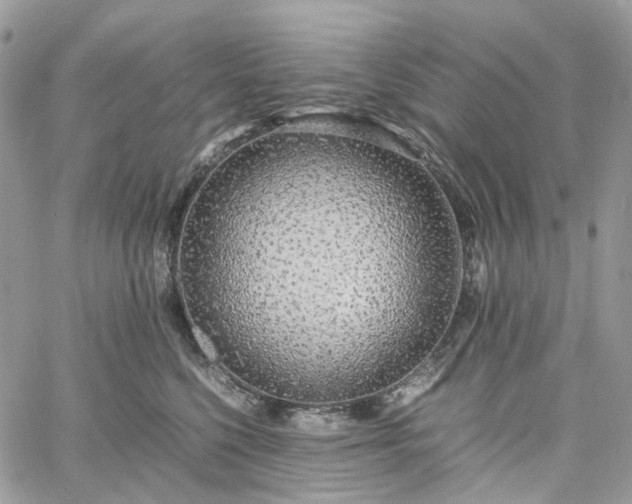 X0000060780568200511171246