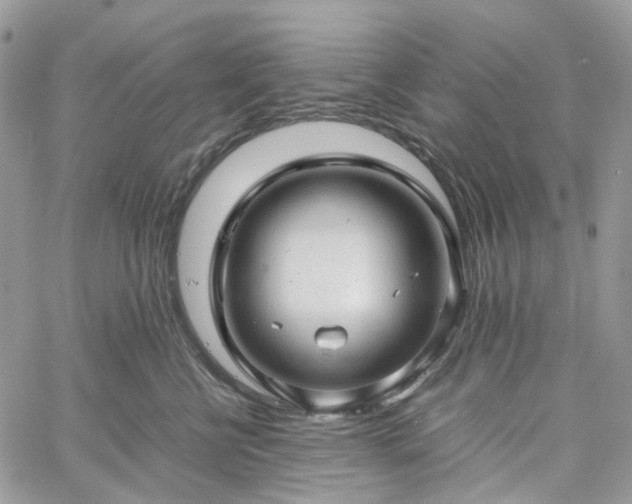 X0000060780570200511171246