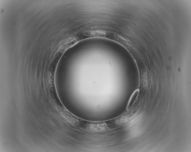 X0000060780571200511171246