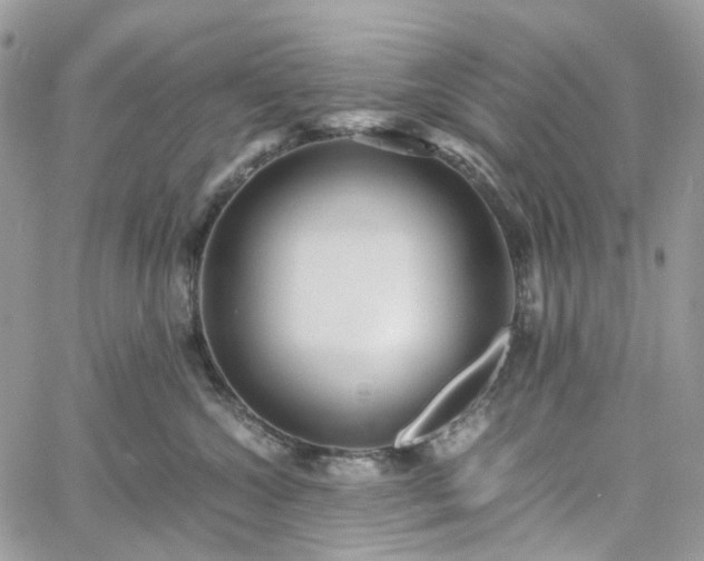 X0000060780572200511171246