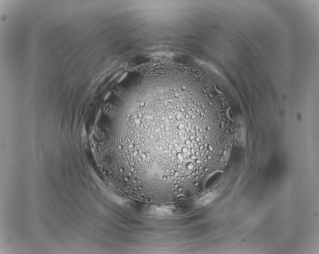 X0000060780573200511171246