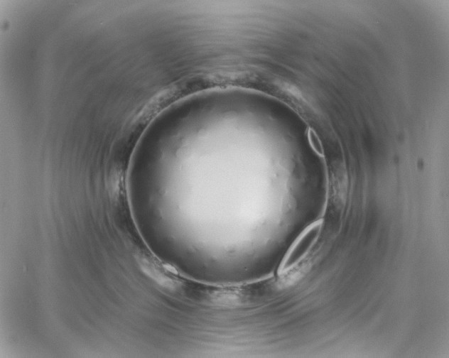 X0000060780574200511171246