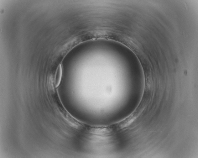 X0000060780575200511171246