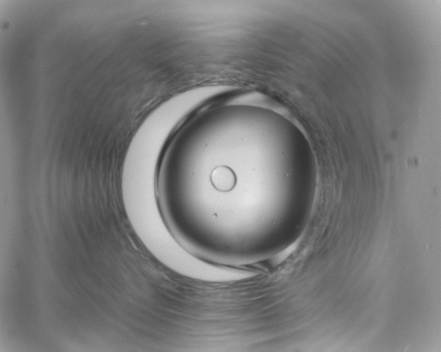 X0000060780576200511171246