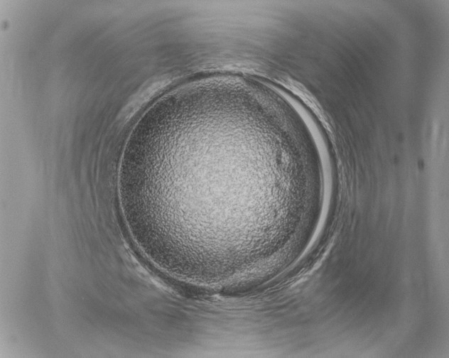 X0000060780577200511171245