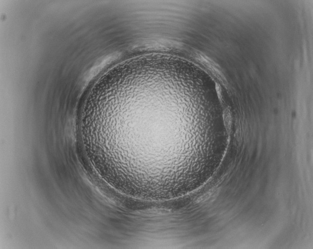 X0000060780578200511171245