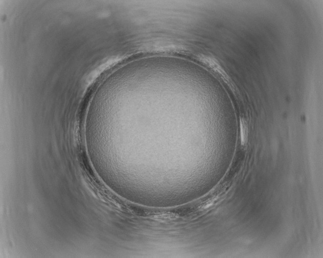 X0000060780579200511171245