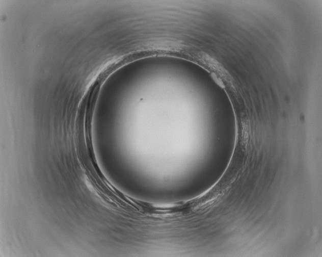 X0000060780580200511171245