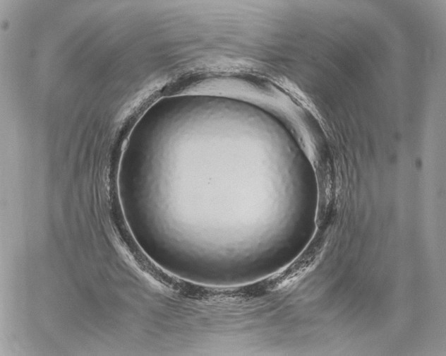 X0000060780581200511171245