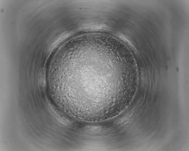 X0000060780582200511171245