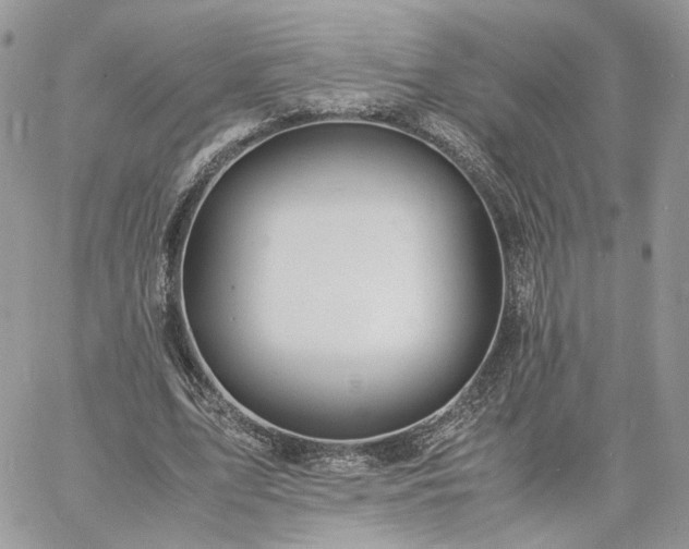 X0000060780583200511171245