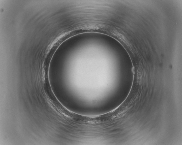 X0000060780584200511171245