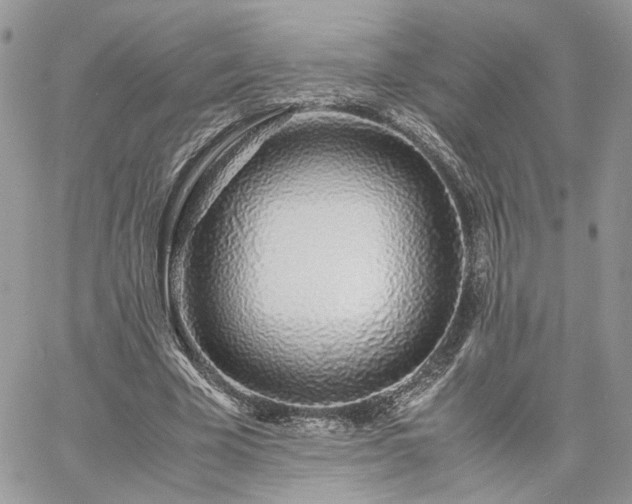 X0000060780585200511171245