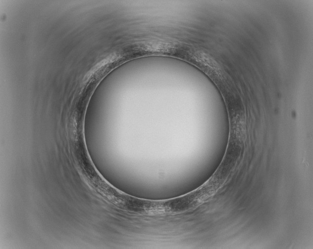 X0000060780587200511171245