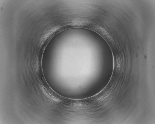 X0000060780588200511171245