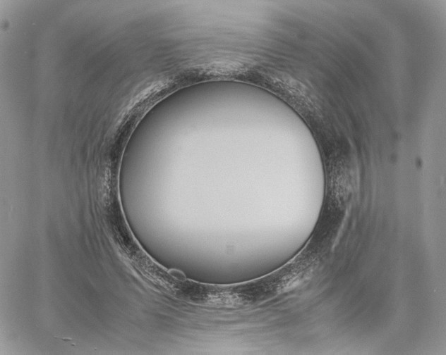 X0000060780591200511171245