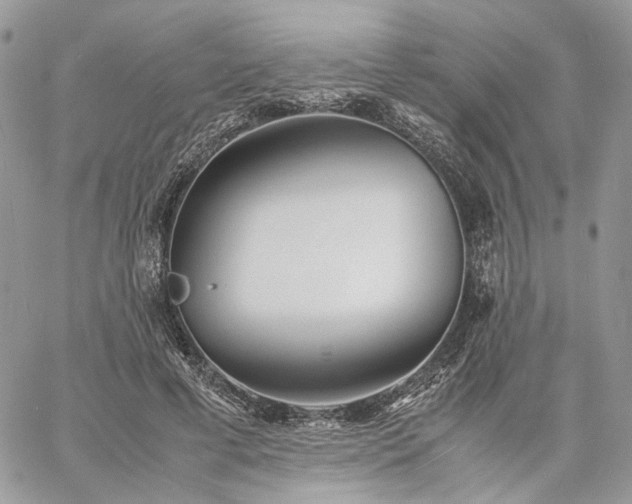 X0000060780593200511171245