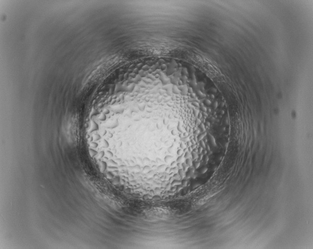 X0000060780594200511171245