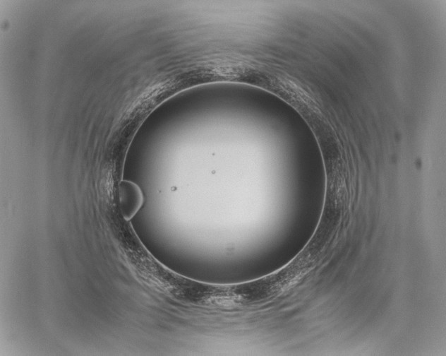 X0000060780595200511171245