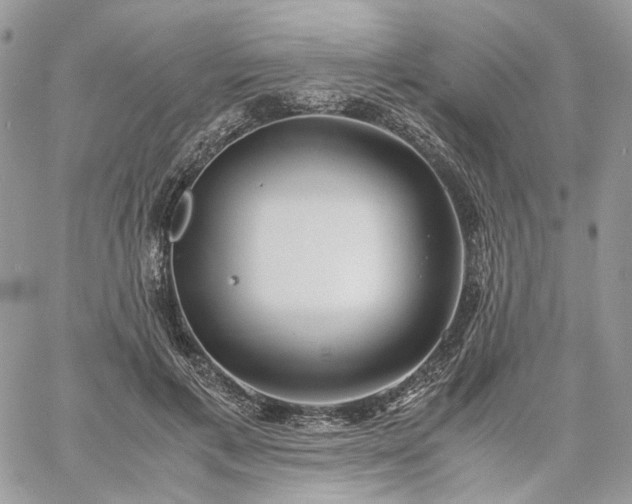 X0000060780597200511171245