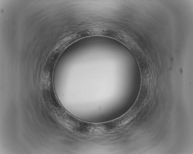 X0000060780599200511171245