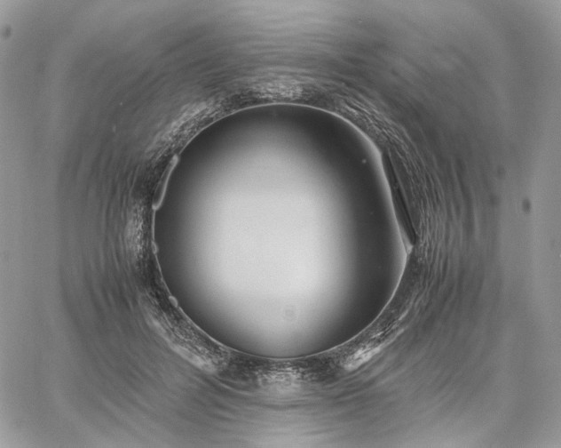 X0000060780600200511171245