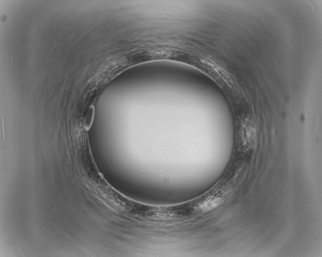 X0000060780601200511171245