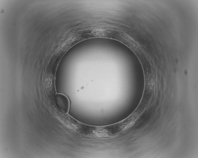 X0000060780603200511171245