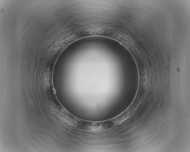 X0000060780604200511171245