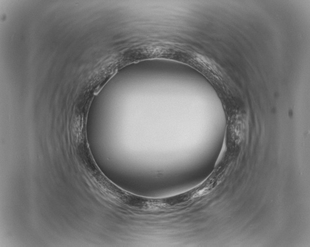 X0000060780605200511171245