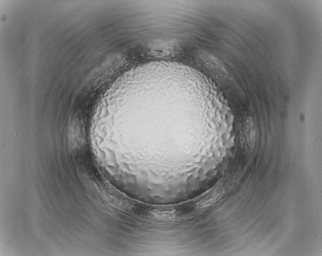 X0000060780606200511171245