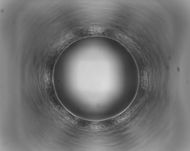 X0000060780608200511171245