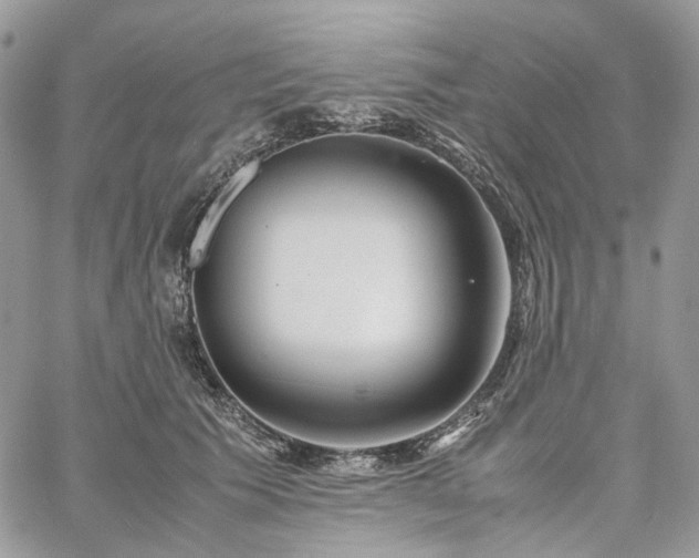 X0000060780609200511171245