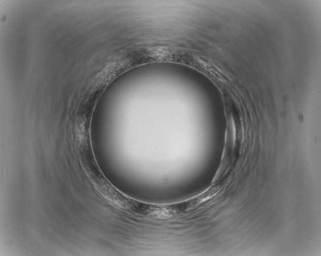 X0000060780611200511171245