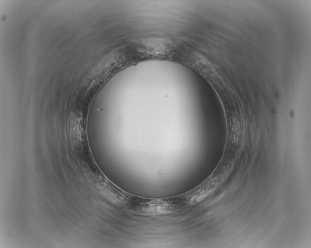 X0000060780612200511171245