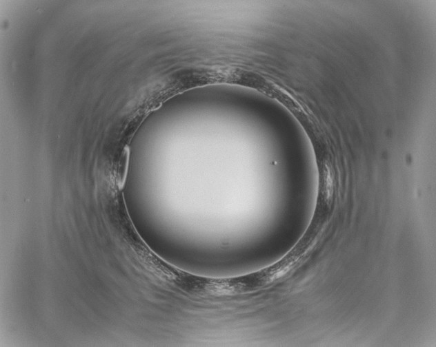 X0000060780613200511171245