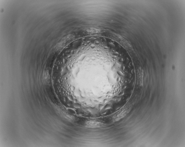 X0000060780614200511171245