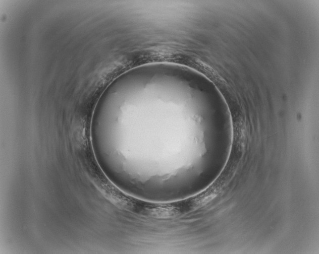 X0000060780615200511171244