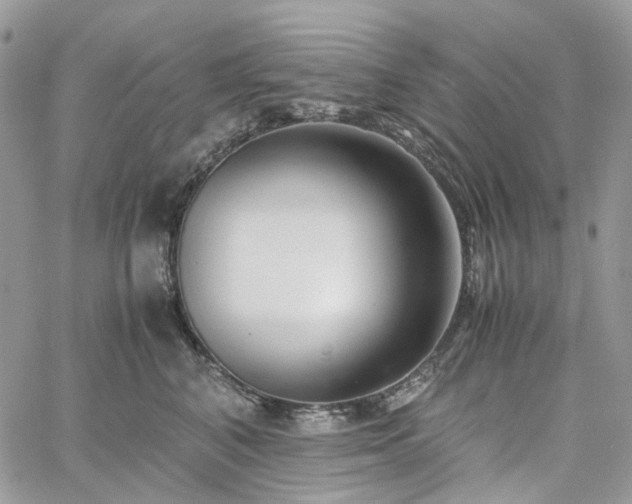 X0000060780616200511171244