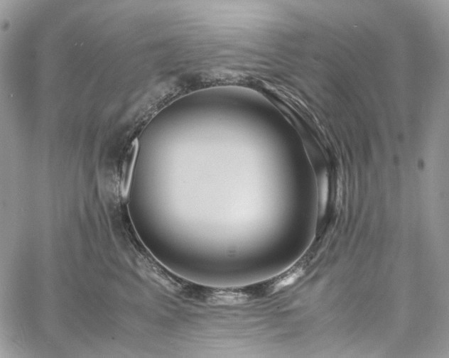 X0000060780617200511171244