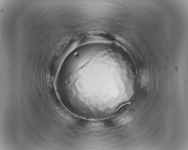 X0000060780619200511171244