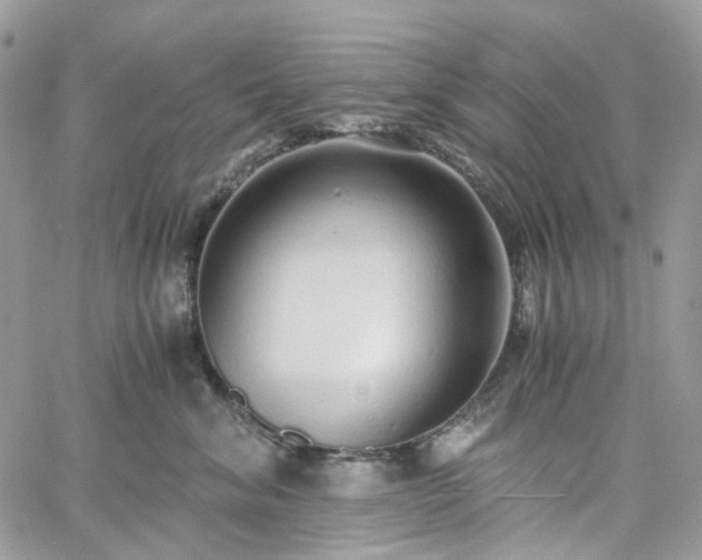 X0000060780620200511171244