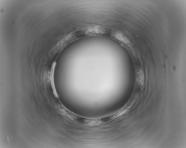 X0000060780621200511171244