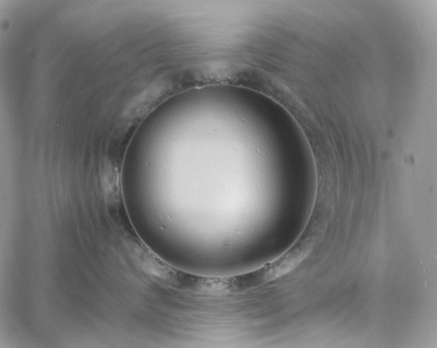 X0000060780624200511171244