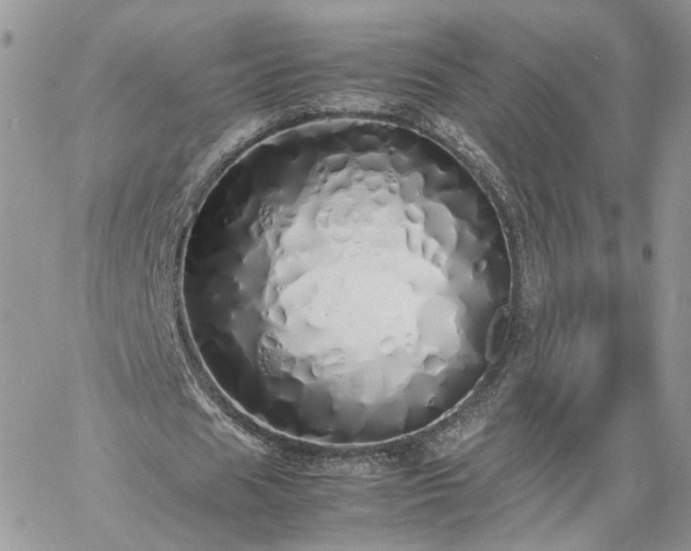 X0000060780625200511171244