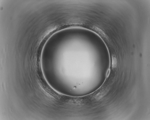 X0000060780627200511171244